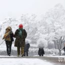 아침 최저 -8도 &#39;강추위&#39;…수도권 밤 비·눈 &#39;빙판길&#39; 주의[내일날씨] 이미지