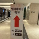 피제이(PJ)푸드 | PJ호텔 명동 웨딩 헤스티아홀, 샹들리에가 이쁜 어두운 홀, 하객 입장으로 본 장단점