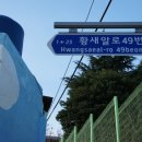 황새알로 이미지