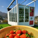 카페13피트