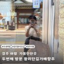 향주 | 경주 황리단길 카페 가배향주 벌써 두번째 방문 내돈내산