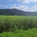 진흥 공인중개사사무소 이미지