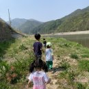 도천강민박 네이버블로그