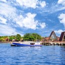 수정신흥1-D-1 이미지