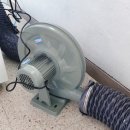 대구삼영초등학교 이미지