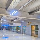 타이라운지 | 수완나품공항 라운지 후기 타이항공 로열 실크 라운지 음식 시설 이용
