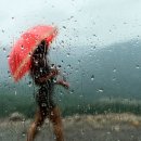 철이헤어샵 이미지