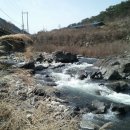 회문산장