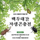 백두기획 케이에스피뉴스