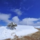 삼양목장 이미지