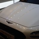 현대자동차 상남점 이미지