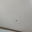 서일동4길 네이버블로그