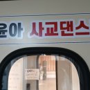 최윤아사교댄스홀 이미지