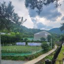 수협민물장어직판장 이미지