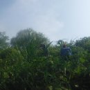 일주하이텍 이미지