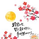 허니룸케어프리미엄 이미지