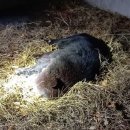 소동농장 이미지