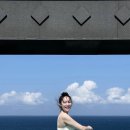 냥냥이 캔따개 | 벌써 한 달