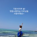 그린제주우도휴양펜션 | [제주도 숙소리뷰] 제주시 컬리넌호텔, 우도 그린제주우도휴양펜션 솔직리뷰!