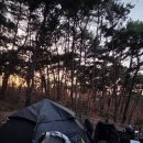 달서별빛캠프 캠핑장(데크캠핑장) 이미지