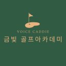 금빛 보이스캐디 골프아카데미 이미지