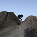 노동절 도봉산 휴일산행 (5/1,금) - 레포 이미지