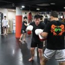 수원팀치빈 Daum카페