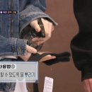 마요 펫 이미지