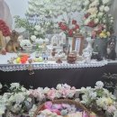 경북반려동물장례식장 이미지