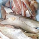 제물량로 이미지