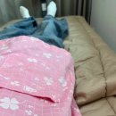 조상일정형외과의원 이미지