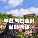 도당중학교 | 2026 부천 백만송이 장미축제 | 주말 데이트코스 추천, 주차·개화현황 정리