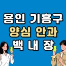 용인 기흥구 백내장 전문 병원 List 수술 잘하는 안과 추천