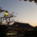 관등 | 필수 코스 추천! 촉석루, 국립진주박물관등 역사 코스 상세후기 (입장료, 주차장, 위치, 볼거리등)