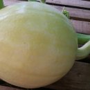 제일미니슈퍼 이미지