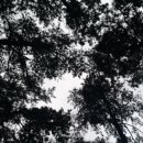 약봉테라피(마사지 교정운동) 이미지