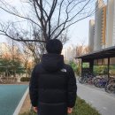 에코에어