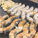 백억장어 이미지