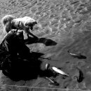 아버지의바다 이미지