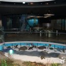 고생대자연박물관 이미지