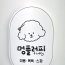 멍플러피 이미지