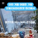 오블리&화이트펫 이미지