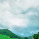 로뎀목장 이미지