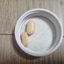 파파인 이미지