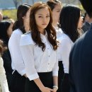 카라 이미지