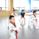 용인대드래곤태권도장 이미지