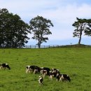 좋은축산마을 이미지