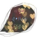 라임앤컴퍼니 이미지