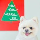 산호동457 이미지