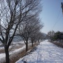 달천제방길 이미지